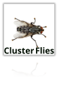 Cluster Flies Extermination