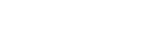 Asian Lady Beetles