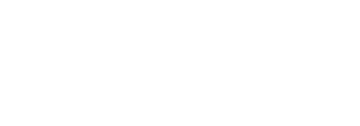 Carpenter Ants