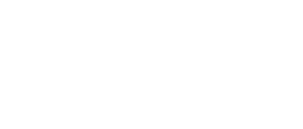 Stinging Insects